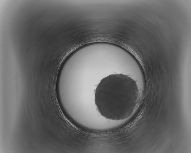 X0000116880625200912220945