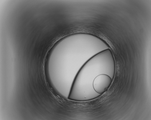 X0000116880626200912220945