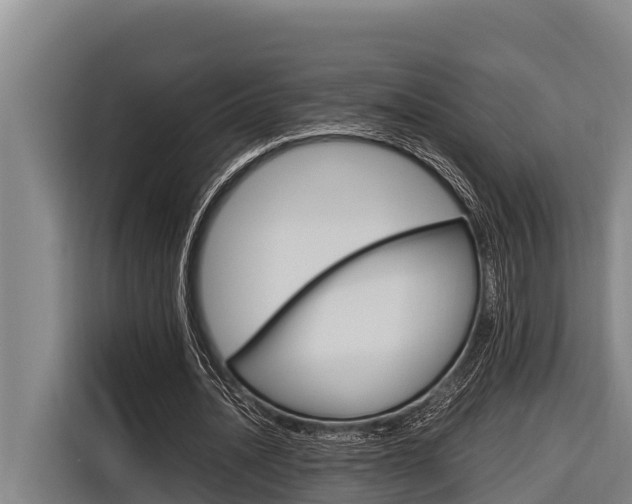 X0000116880628200912220945
