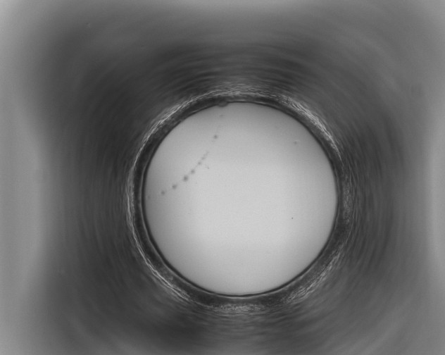 X0000116880629200912220945