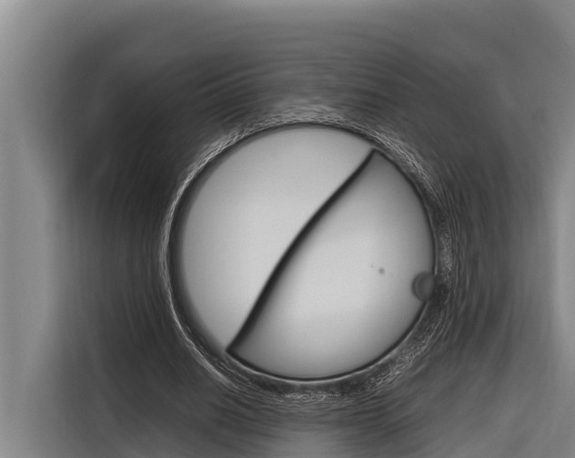 X0000116880630200912220945