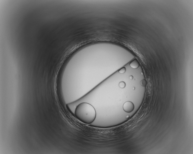 X0000116880631200912220945