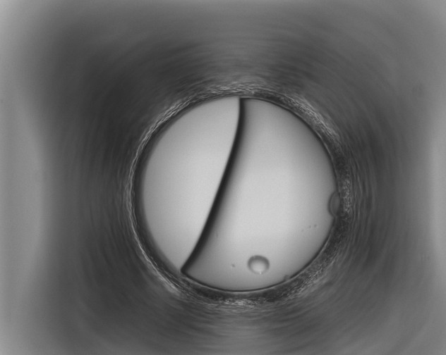 X0000116880634200912220945