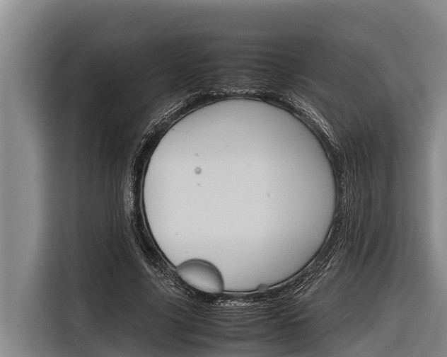X0000116880635200912220945