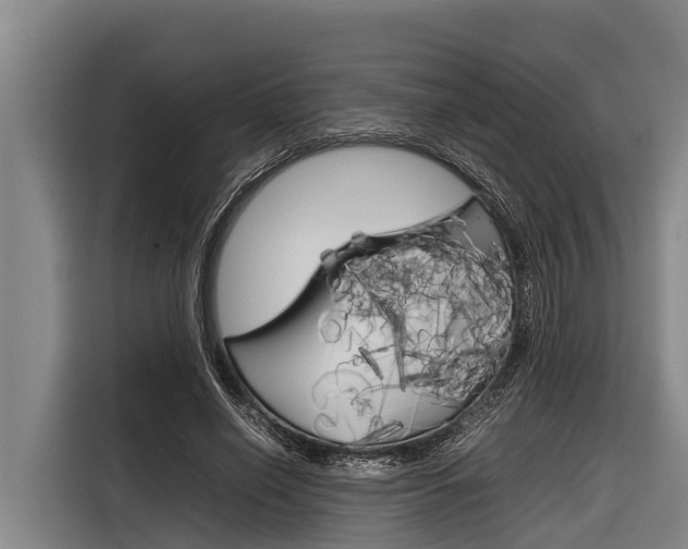 X0000116880638200912220945