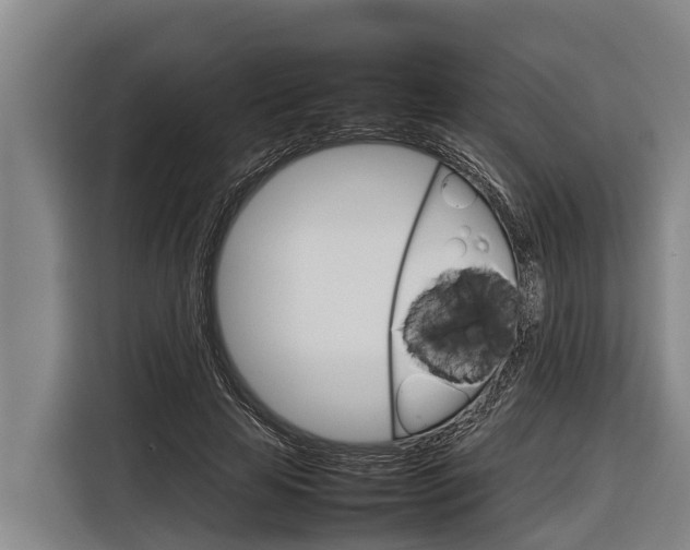 X0000116880641200912220945