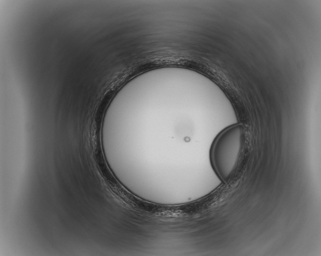 X0000116880642200912220945