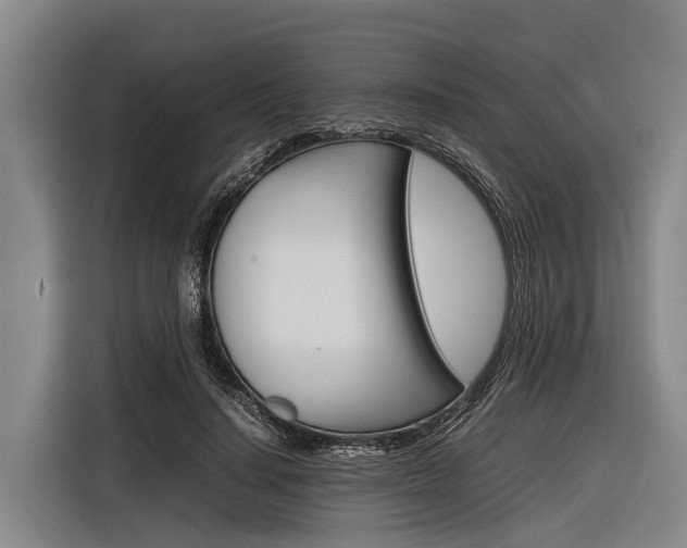X0000116880644200912220945