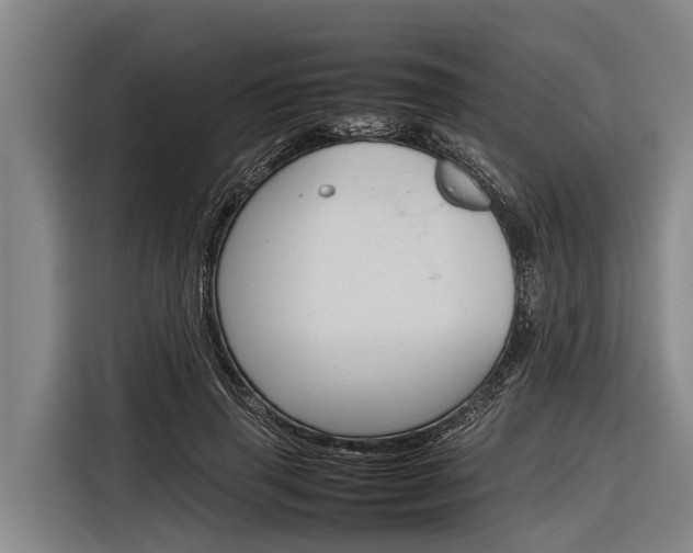 X0000116880645200912220945