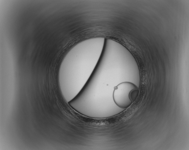 X0000116880646200912220945