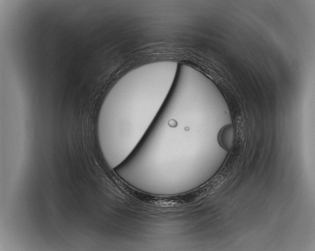 X0000116880650200912220945