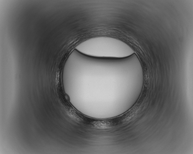 X0000116880652200912220945