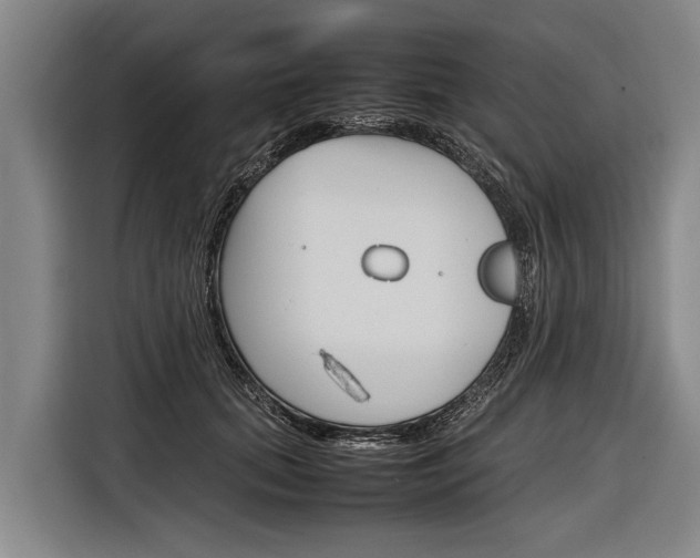 X0000116880655200912220945