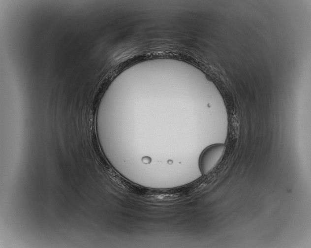 X0000116880657200912220945
