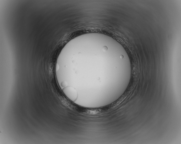 X0000116880662200912220945
