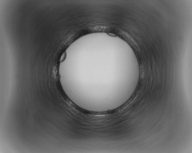 X0000116880669200912220945