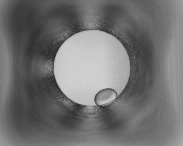 X0000116880672200912220945