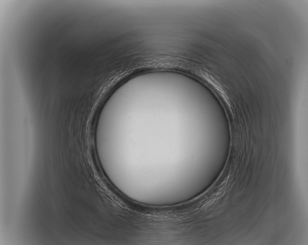X0000116880673200912220945