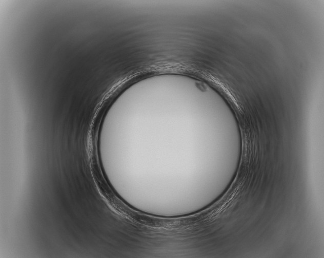 X0000116880674200912220945