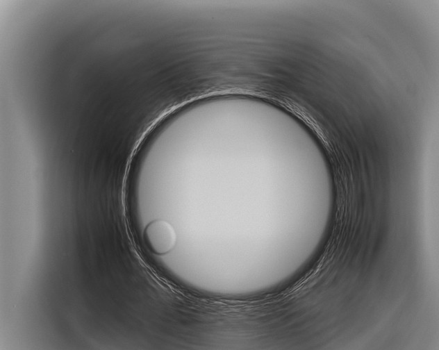 X0000116880676200912220945