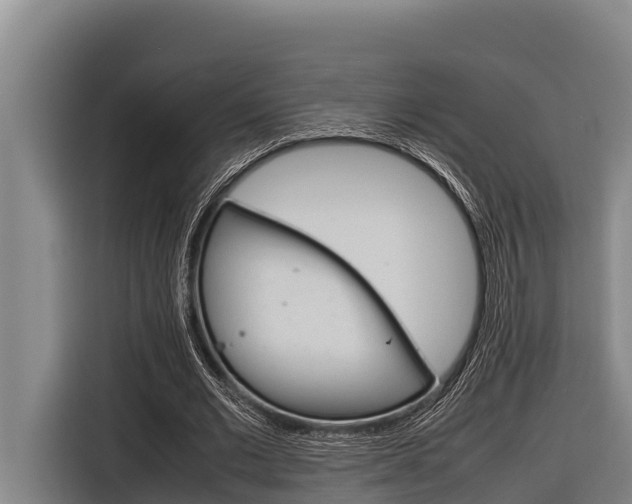 X0000116880677200912220945