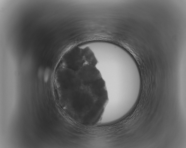 X0000116880679200912220945