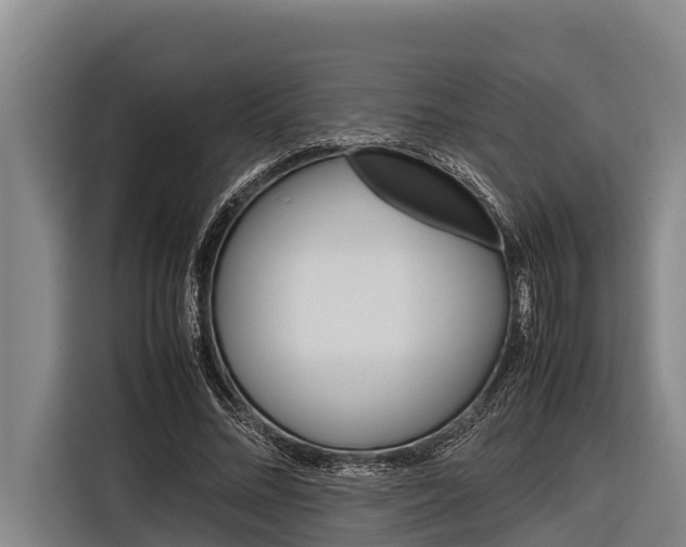 X0000116880684200912220945