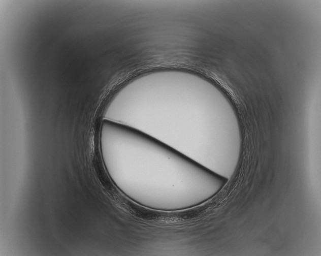X0000116880685200912220945