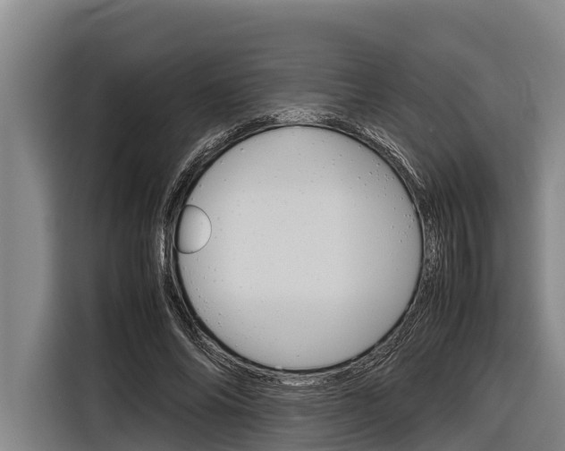 X0000116880686200912220945
