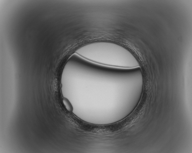 X0000116880689200912220945