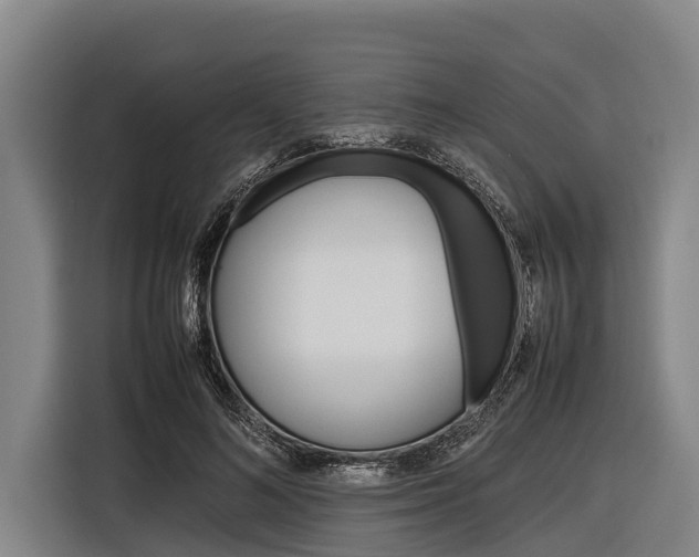 X0000116880692200912220945
