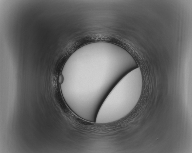 X0000116880695200912220945