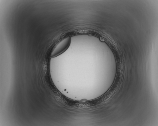 X0000116880697200912220945