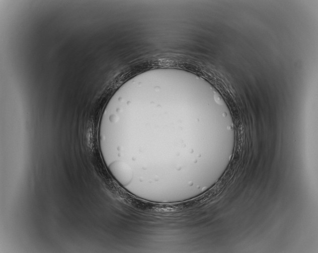 X0000116880698200912220945