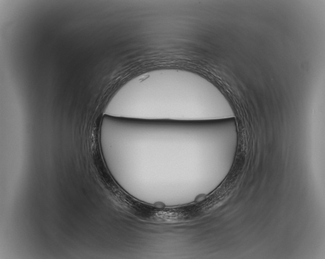 X0000116880699200912220945