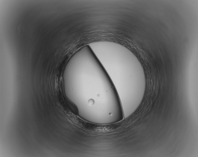 X0000116880704200912220944