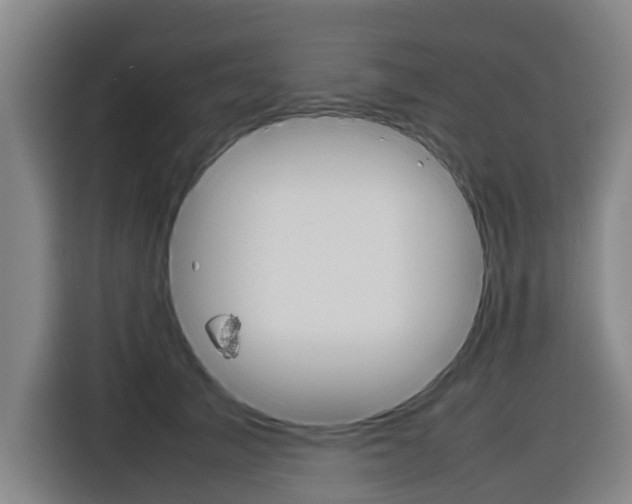 X0000116880705200912220944