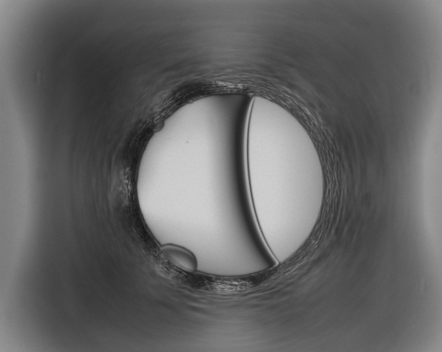 X0000116880707200912220944