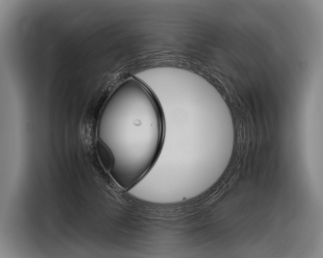 X0000116880708200912220944