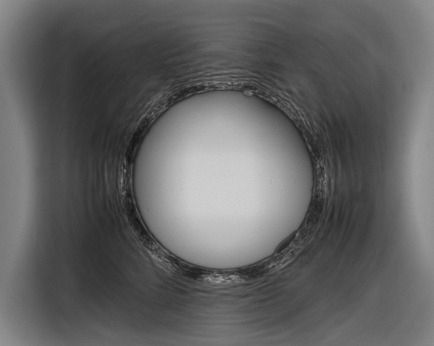 X0000116880712200912220944