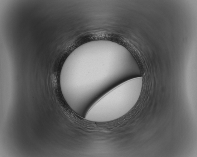 X0000116880715200912220944