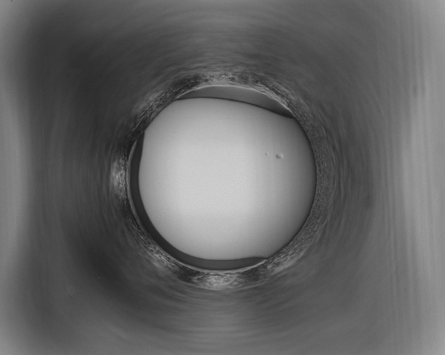 X0000116880720200912220944