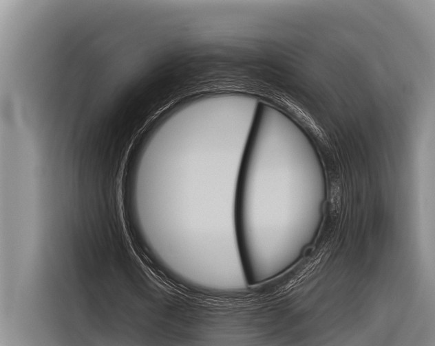 X0000116880722200912220944