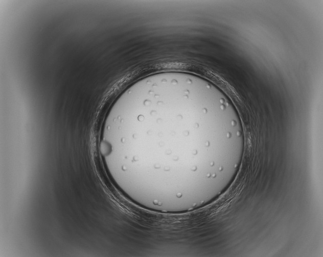 X0000116880725200912220944