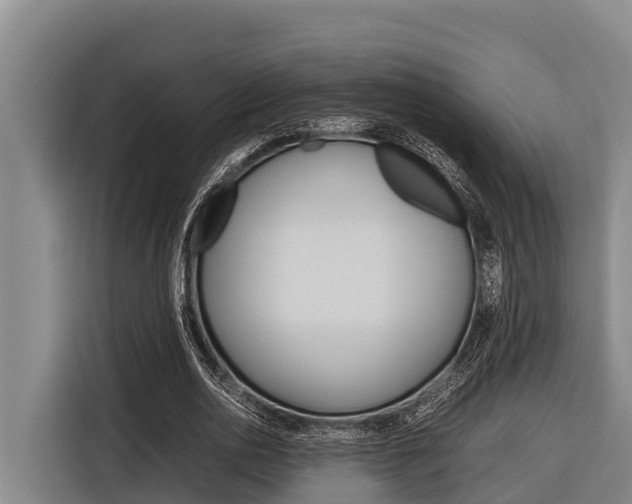 X0000116880726200912220944