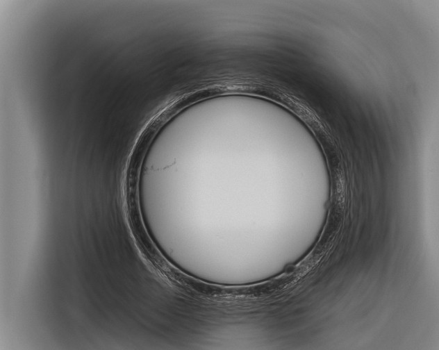 X0000116880730200912220944