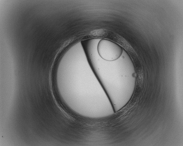 X0000116880734200912220944