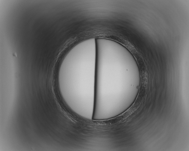 X0000116880738200912220944