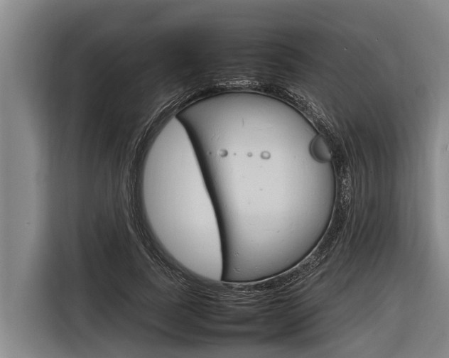X0000116880739200912220944