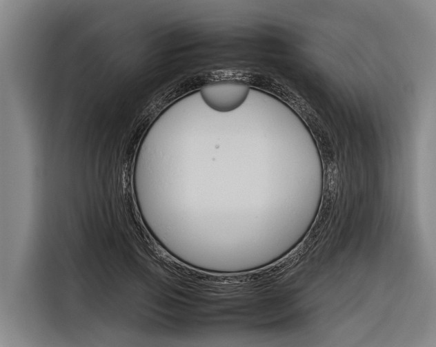 X0000116880741200912220944